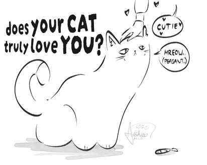 Does your cat truly love you? Does your cat truly love you?